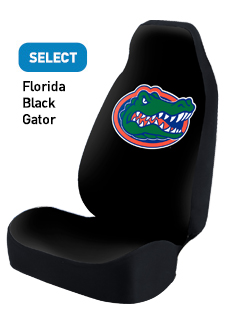 Florida Black Gator