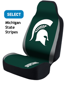 Michigan State Stripes