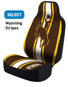  Wyoming Stripes